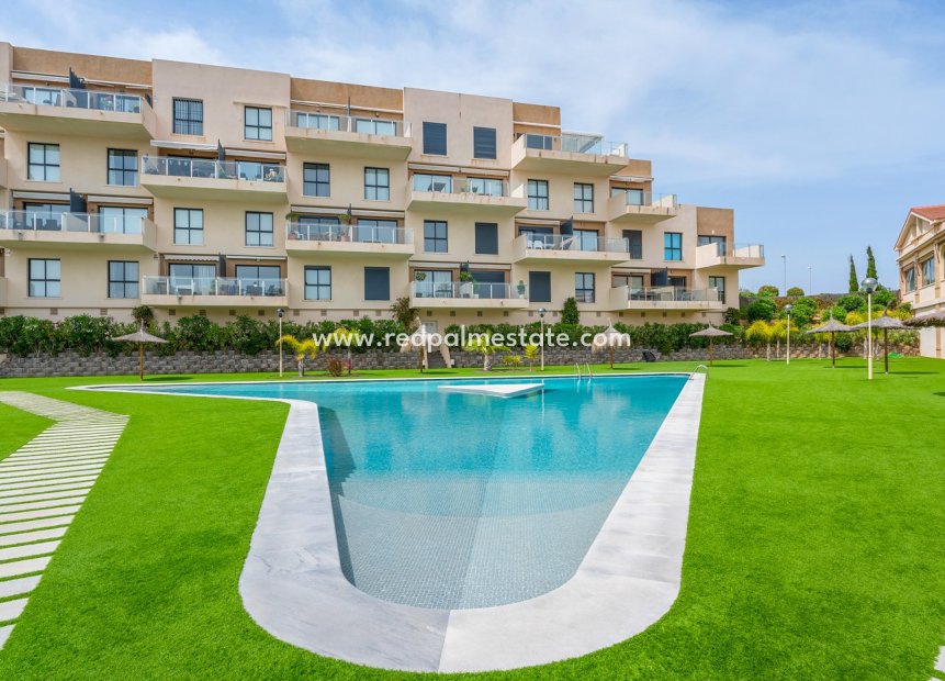 Reventa - Apartamento -
Orihuela Costa - La Zenia