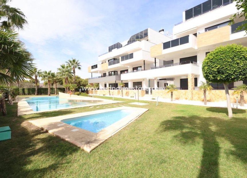 Reventa - Apartamento -
Orihuela Costa - Las Mimosas