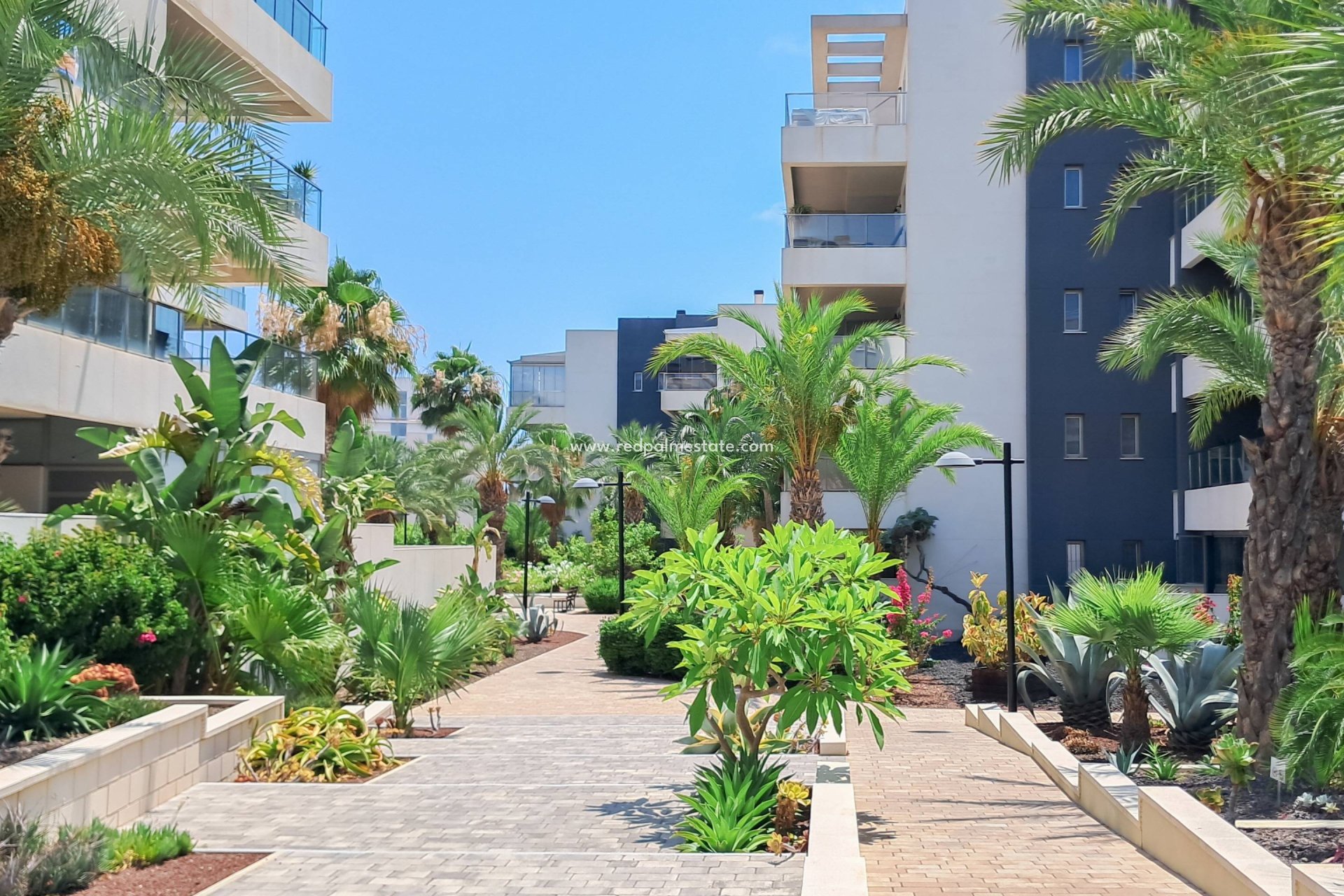 Reventa - Apartamento -
Orihuela Costa - Los Dolses