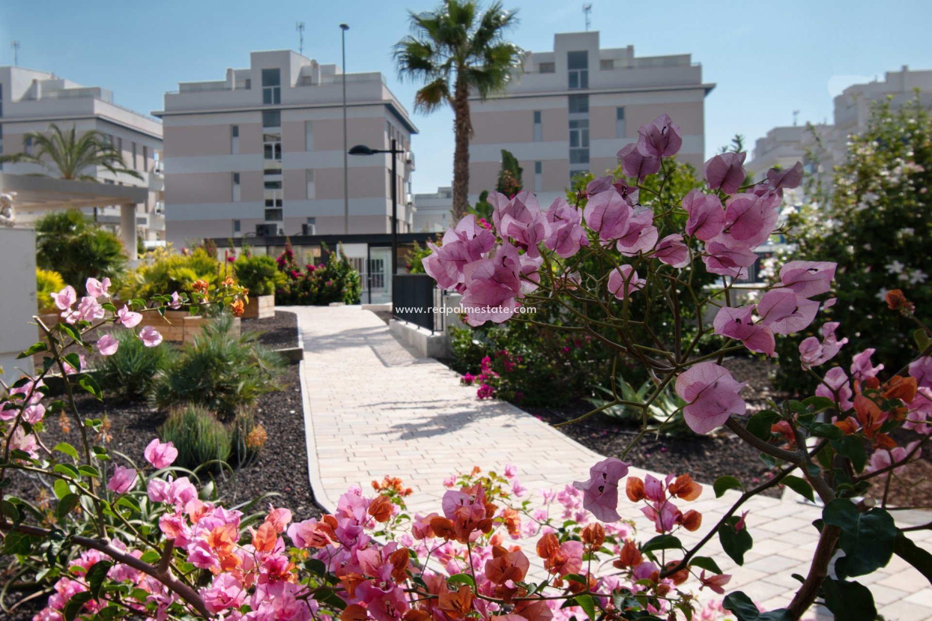 Reventa - Apartamento -
Orihuela Costa - Los Dolses