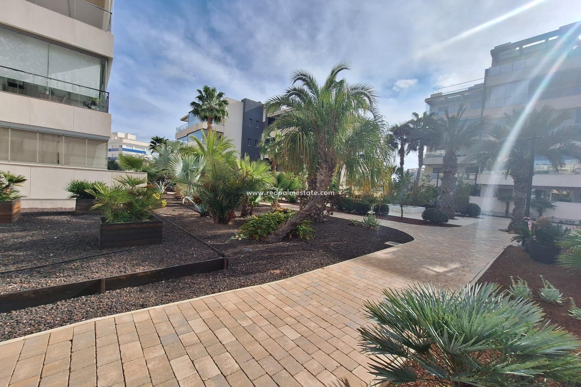 Reventa - Apartamento -
Orihuela Costa - Los Dolses
