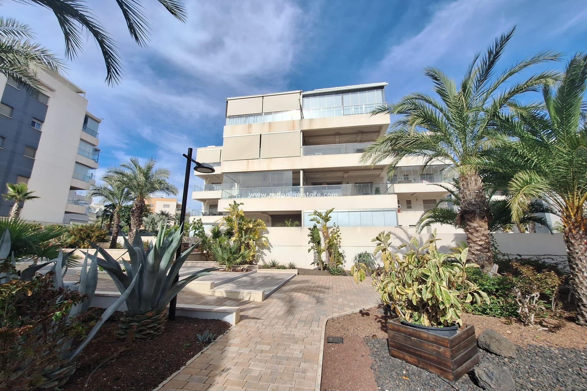 Reventa - Apartamento -
Orihuela Costa - Los Dolses