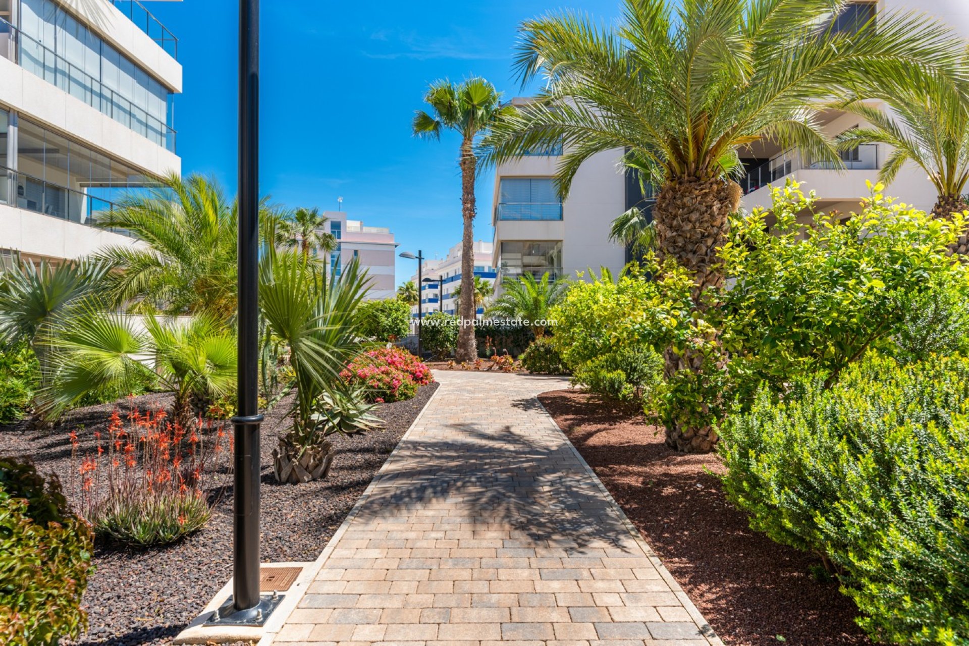 Reventa - Apartamento -
Orihuela Costa - Los Dolses