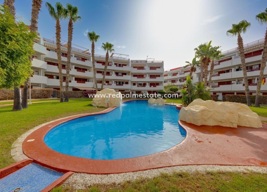 Reventa - Apartamento -
Orihuela Costa - Playa Flamenca