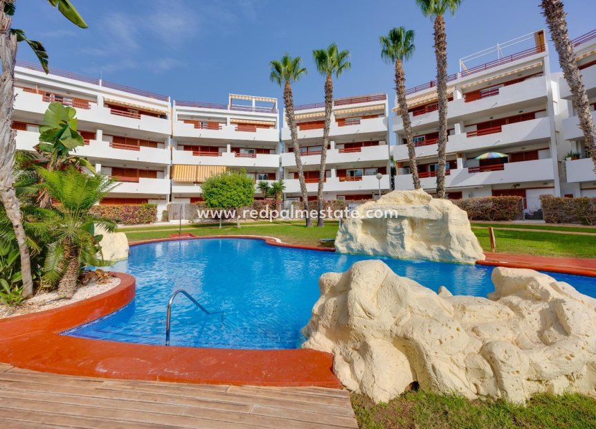 Reventa - Apartamento -
Orihuela Costa - Playa Flamenca