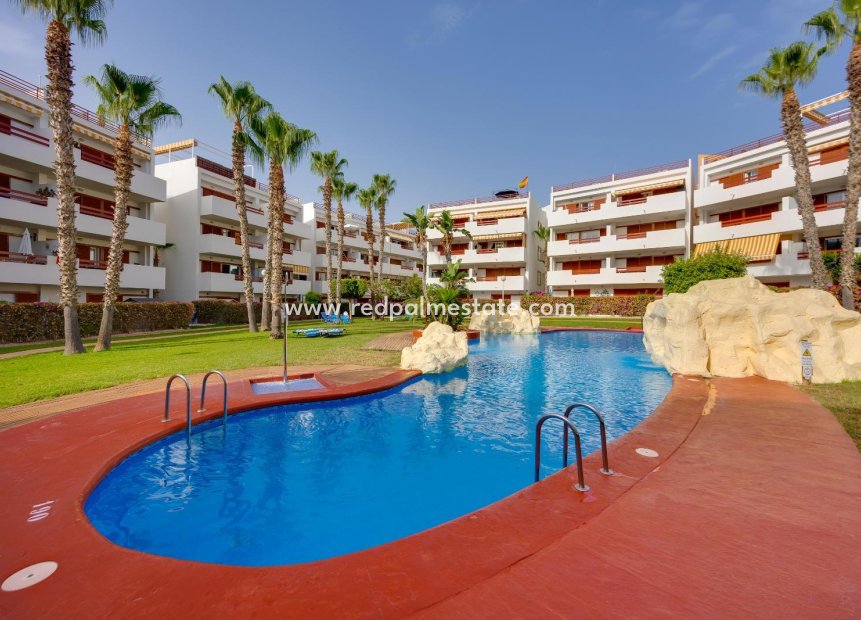 Reventa - Apartamento -
Orihuela Costa - Playa Flamenca