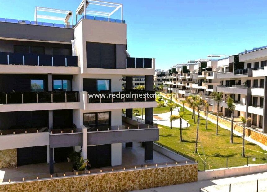 Reventa - Apartamento -
Orihuela Costa - Playa Flamenca