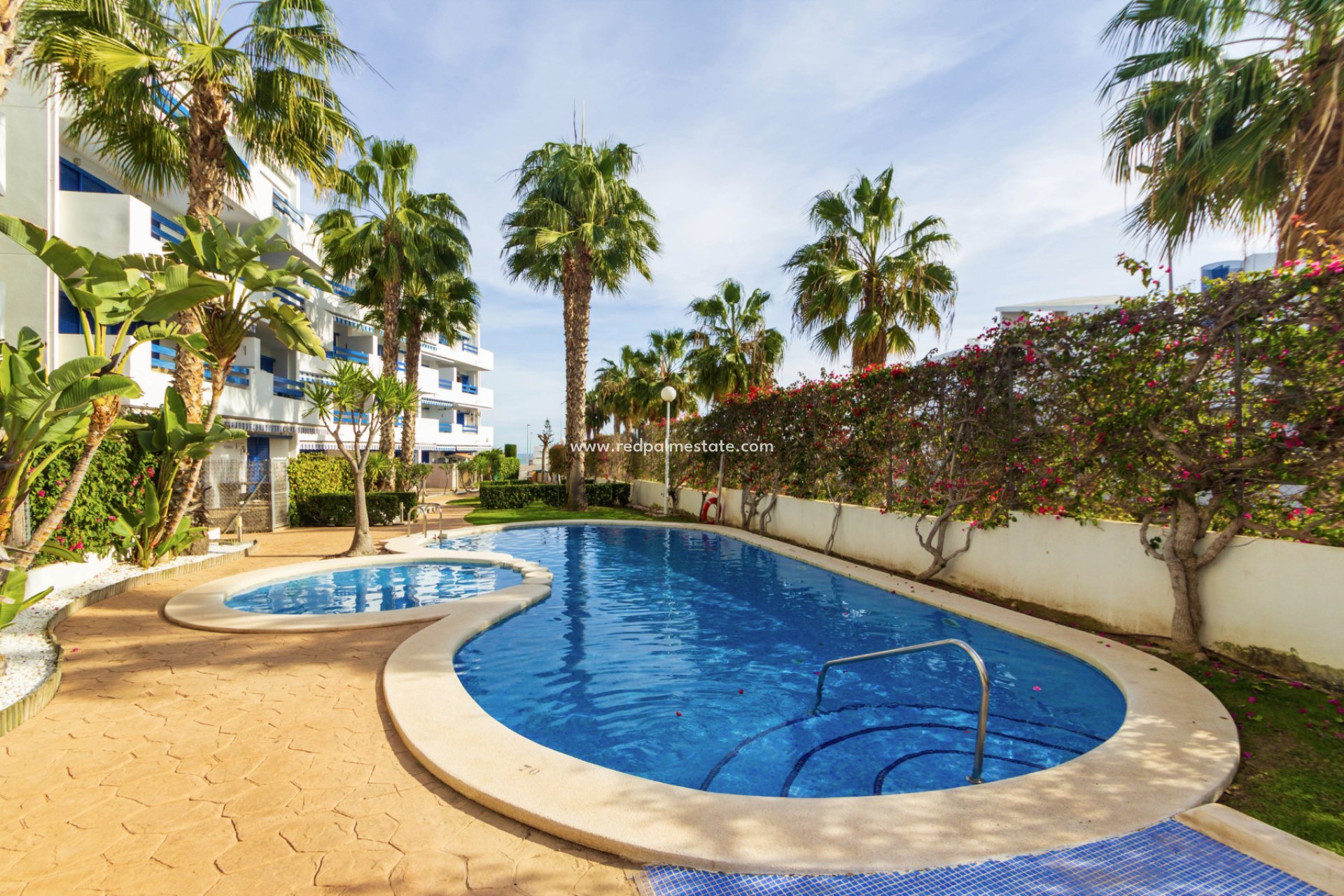 Reventa - Apartamento -
Orihuela Costa - Playa Flamenca