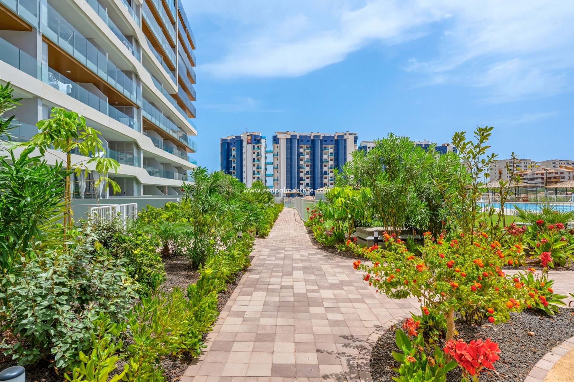 Reventa - Apartamento -
Orihuela Costa - Punta prima