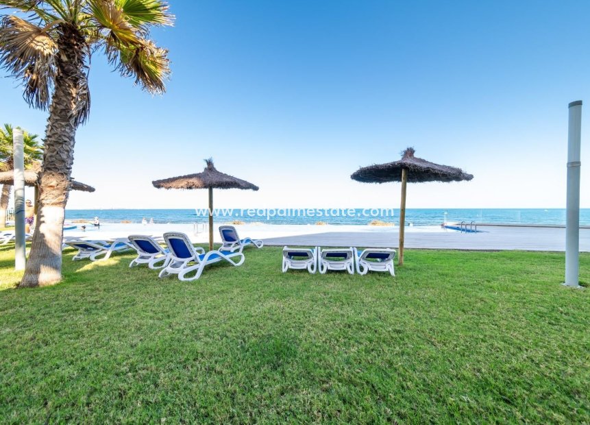 Reventa - Apartamento -
Orihuela Costa - Punta prima