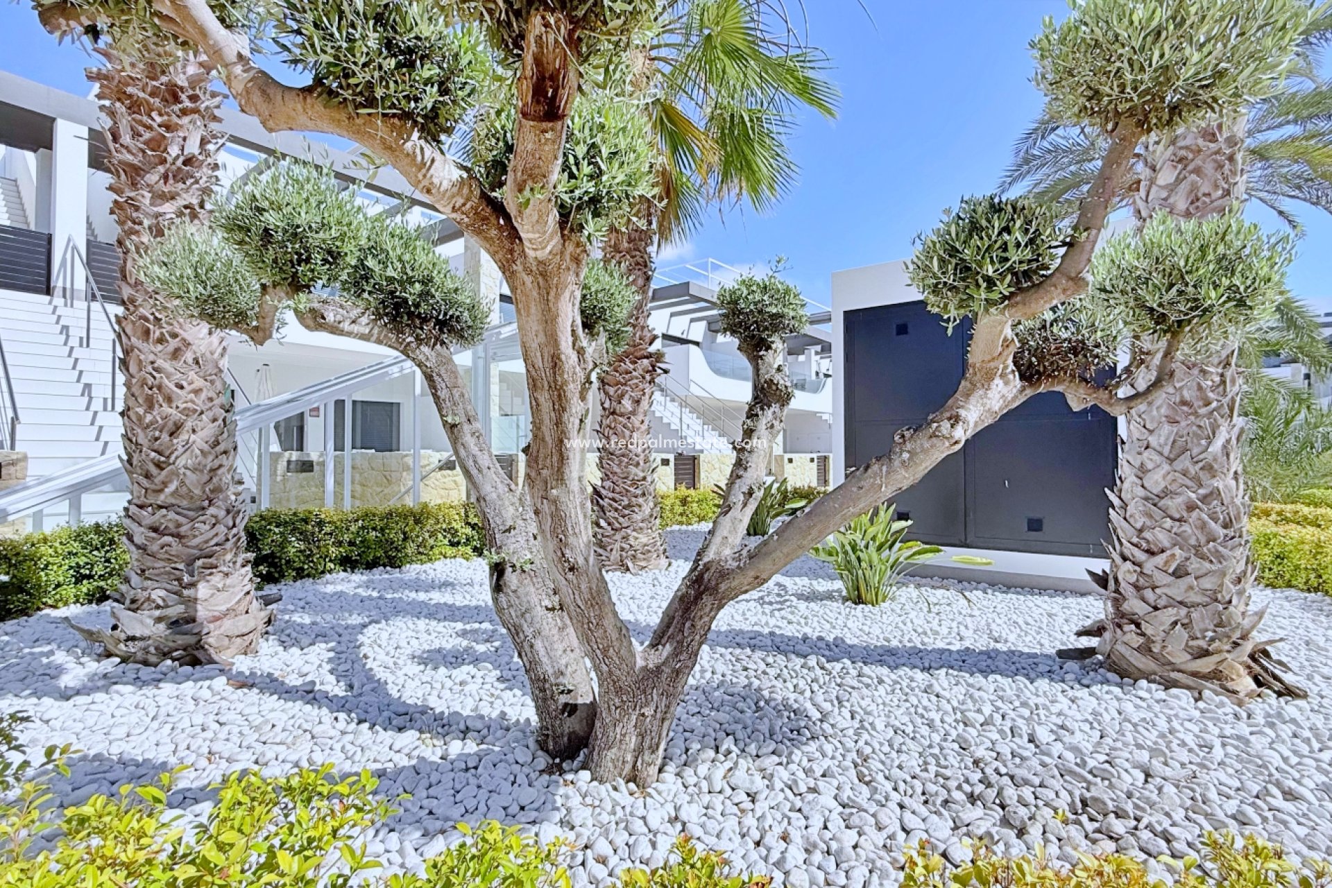 Reventa - Apartamento -
Orihuela Costa - Punta prima