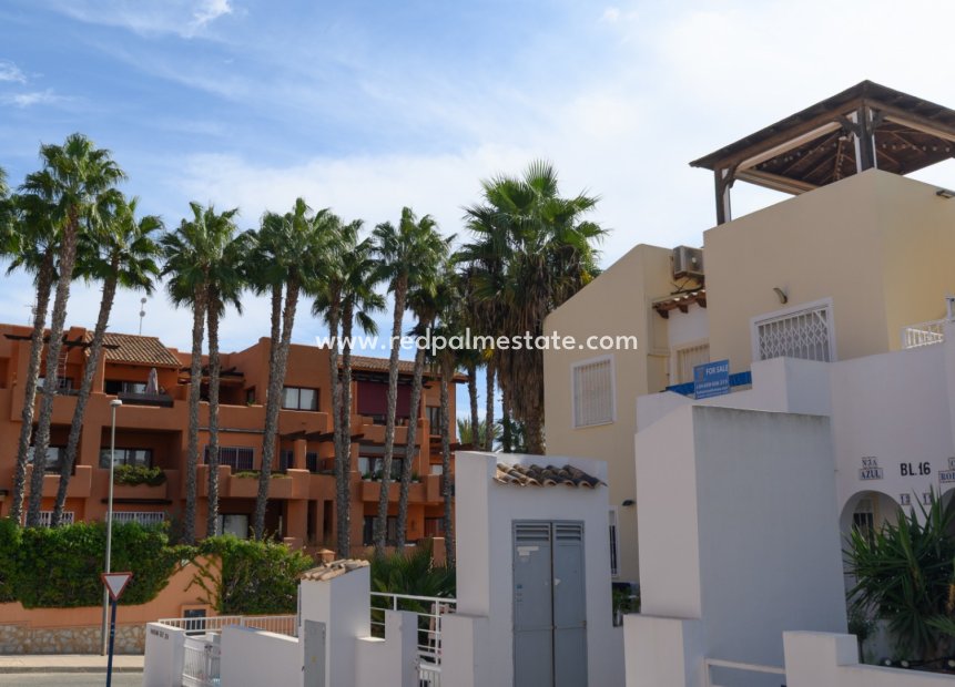 Reventa - Apartamento -
Orihuela Costa - Villamartín