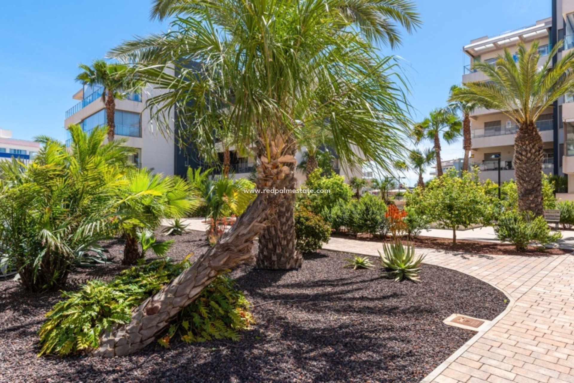 Reventa - Apartamento -
Orihuela Costa - Villamartín