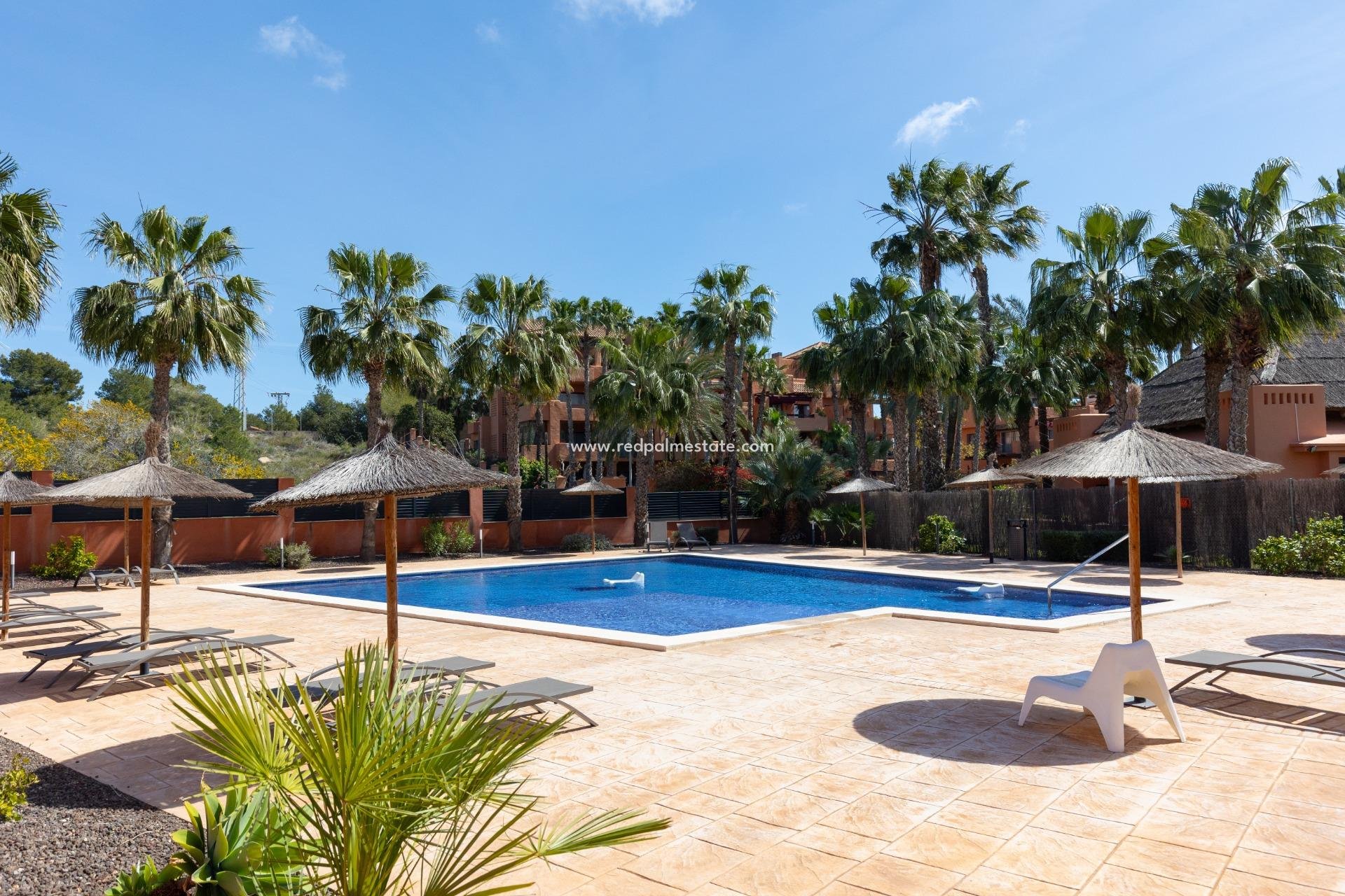 Reventa - Apartamento -
Orihuela Costa - Villamartín