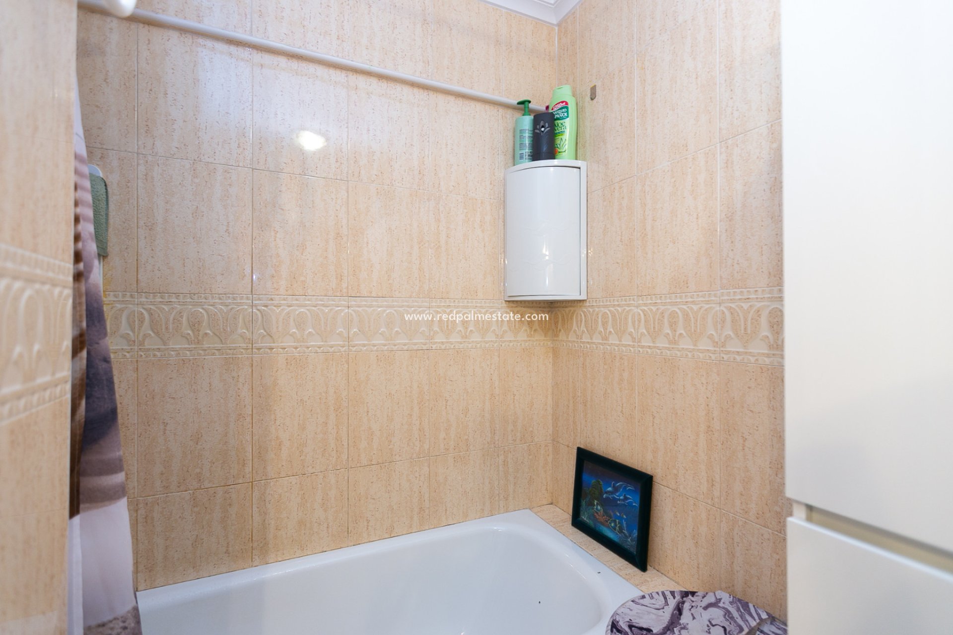 Reventa - Apartamento -
Orihuela Costa - Zenia Mar