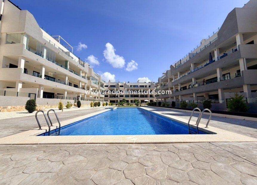 Reventa - Apartamento -
Orihuela Costa