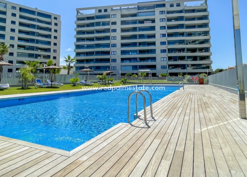 Reventa - Apartamento -
Orihuela Costa