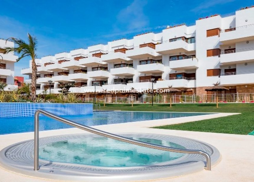 Reventa - Apartamento -
Orihuela Costa