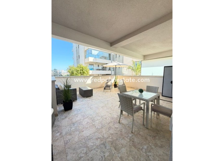 Reventa - Apartamento -
Orihuela Costa