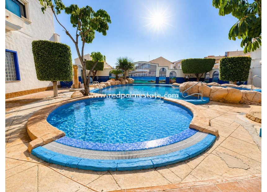 Reventa - Apartamento -
Orihuela Costa