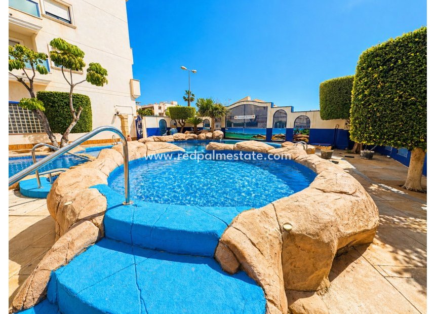 Reventa - Apartamento -
Orihuela Costa