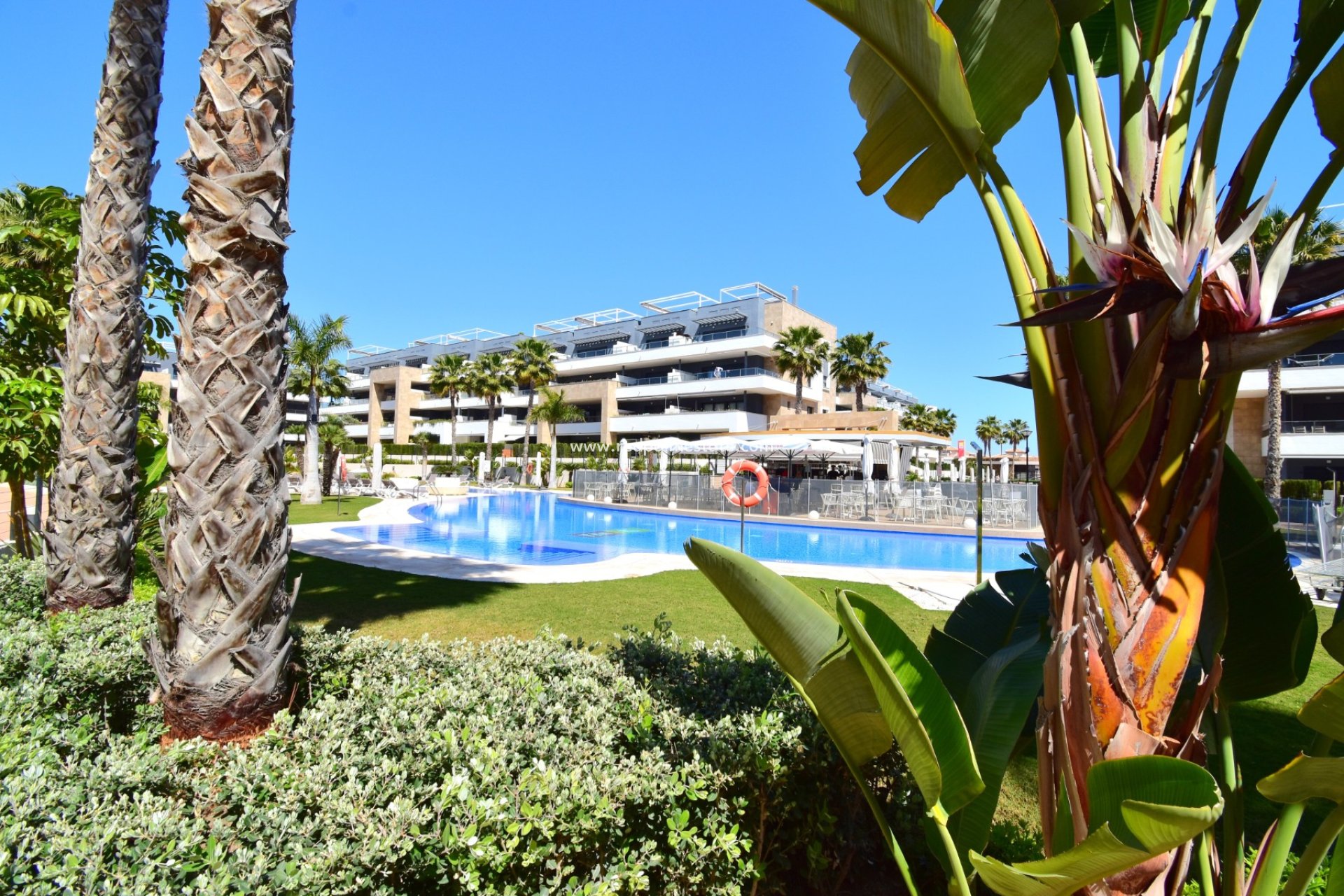 Reventa - Apartamento -
Orihuela Costa