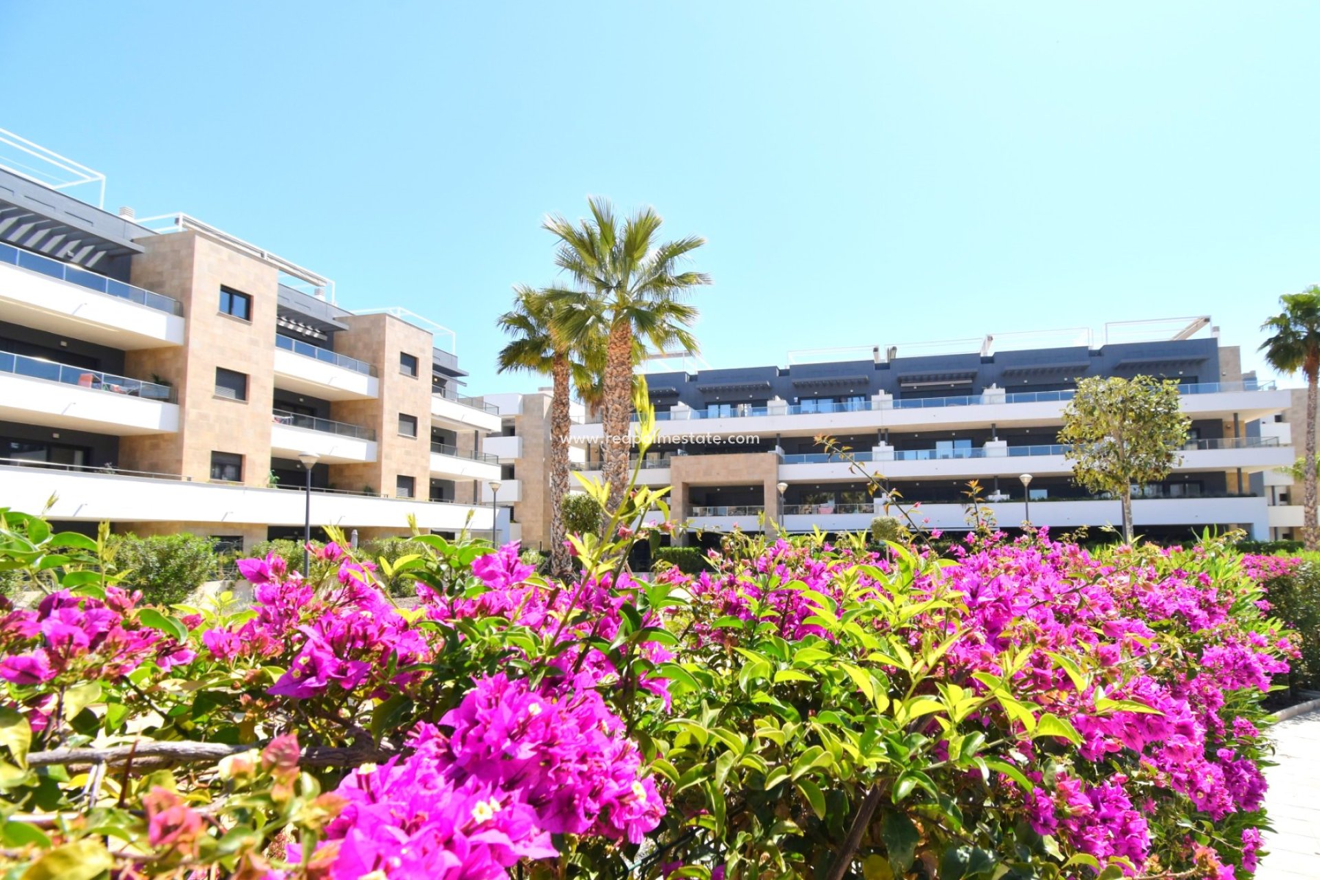 Reventa - Apartamento -
Orihuela Costa
