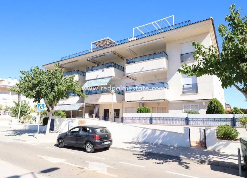 Reventa - Apartamento -
Pilar de la Horadada - Mil Palmeras