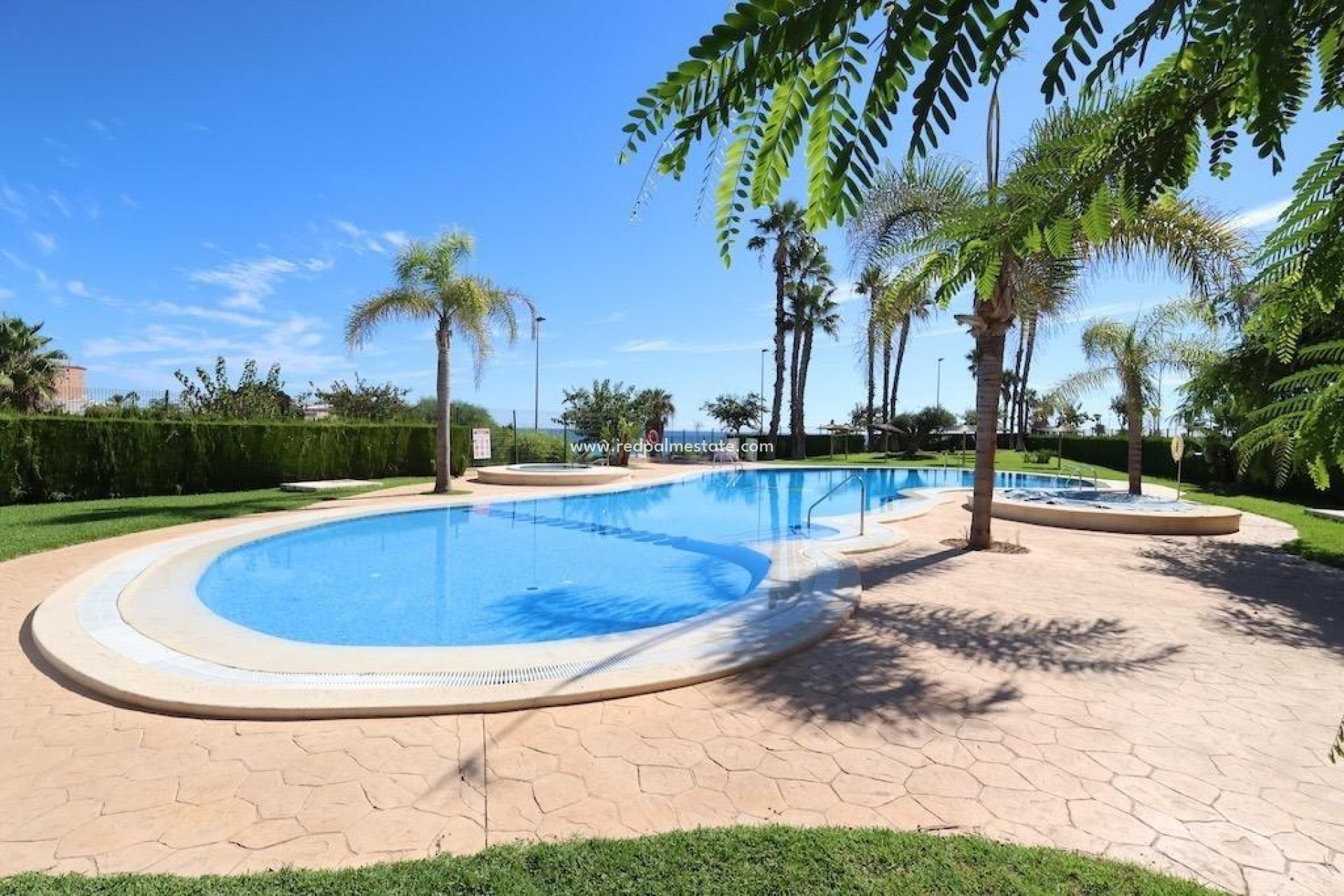 Reventa - Apartamento -
Pilar de la Horadada - Mil Palmeras