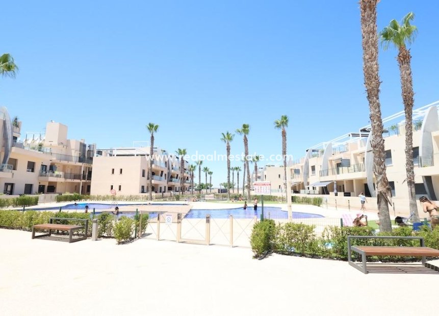 Reventa - Apartamento -
Pilar de la Horadada