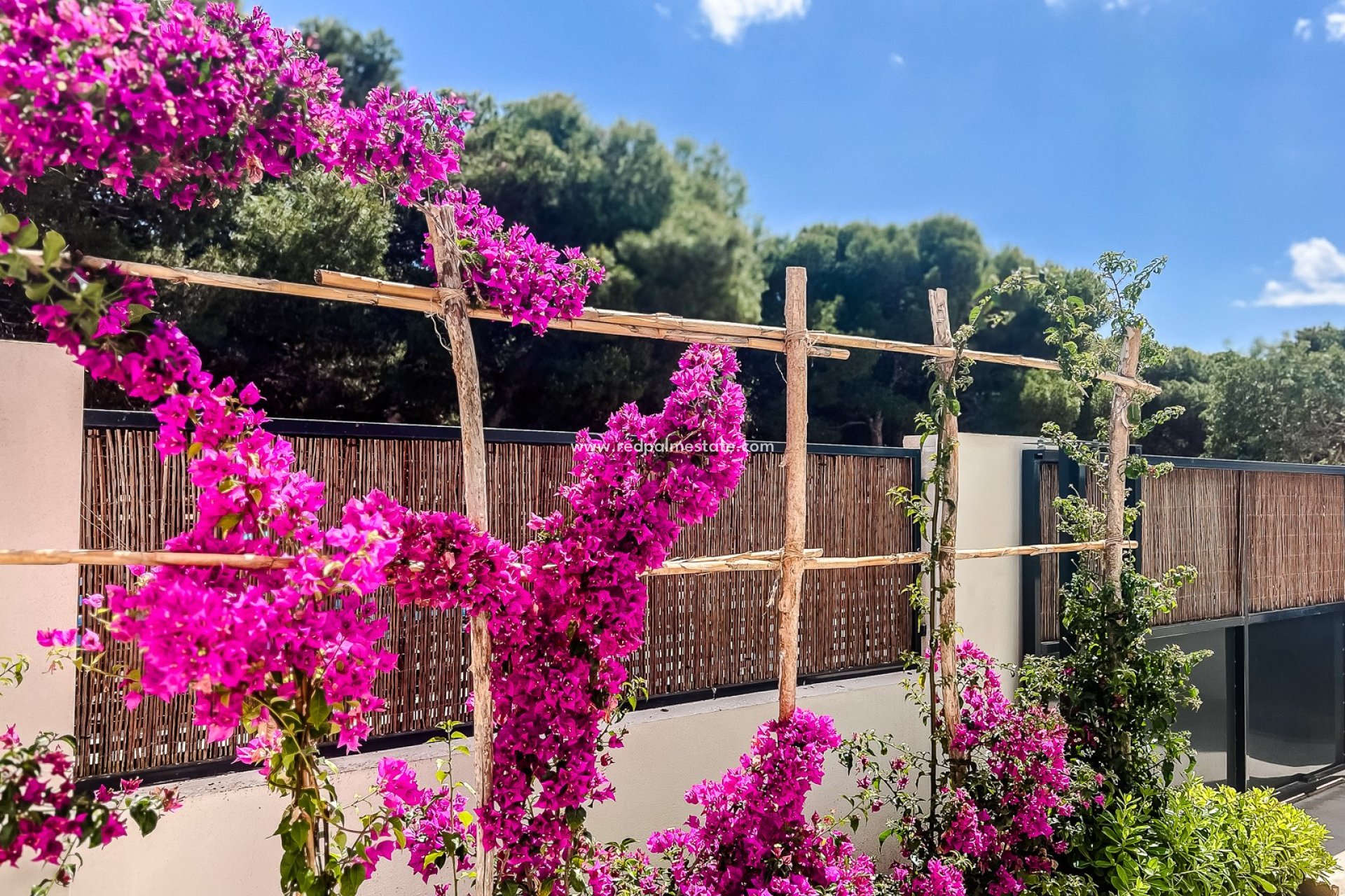 Reventa - Apartamento -
San Javier