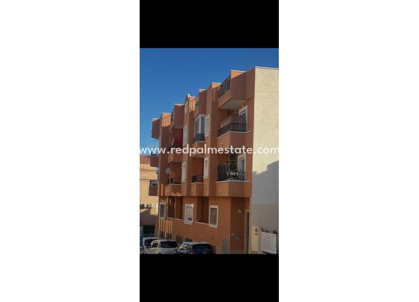 Reventa - Apartamento -
San Miguel de Salinas - Inland
