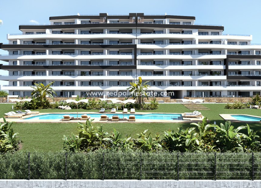 Reventa - Apartamento -
San Miguel de Salinas