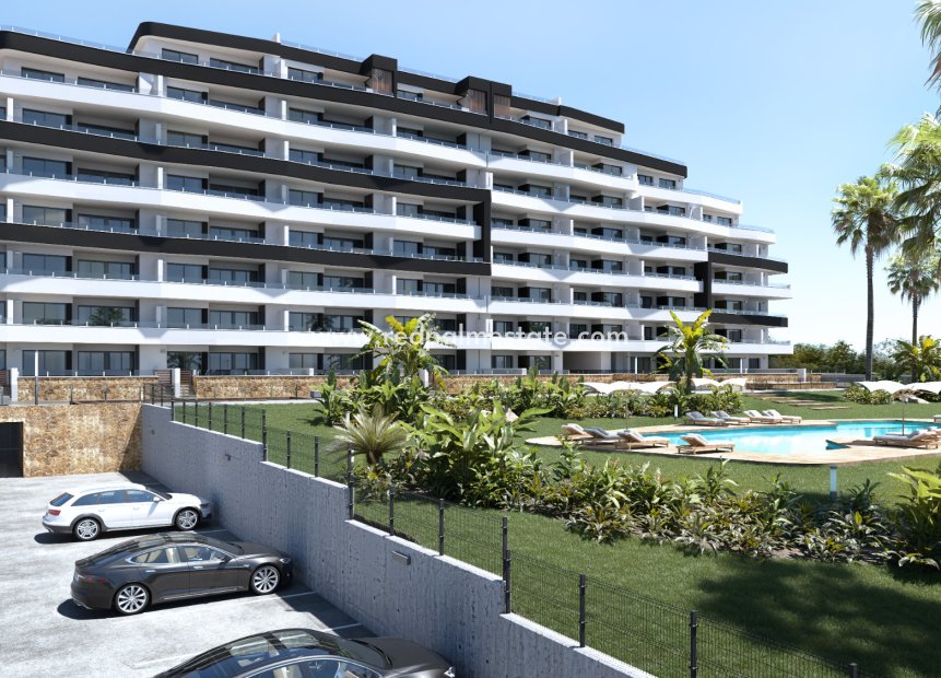 Reventa - Apartamento -
San Miguel de Salinas