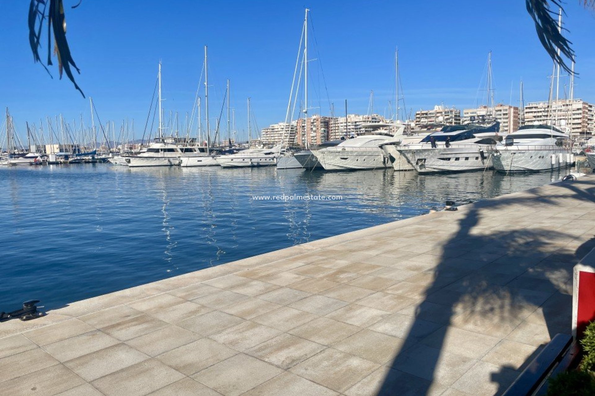 Reventa - Apartamento -
Santa Pola
