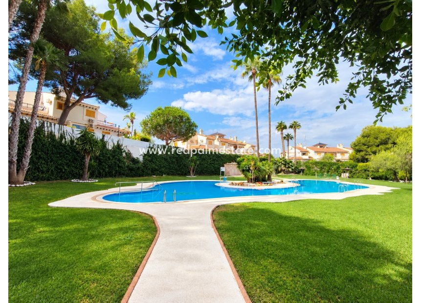 Reventa - Apartamento -
Torre de la Horadada - Mil Palmeras