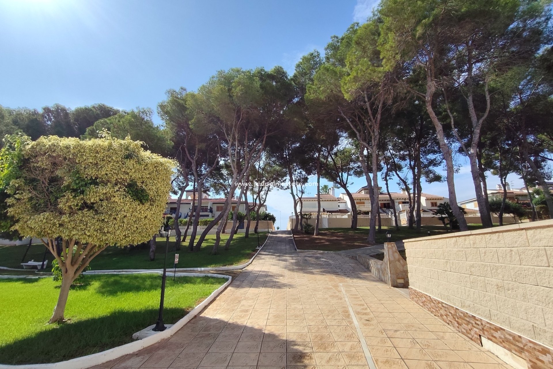 Reventa - Apartamento -
Torre de la Horadada - Mil Palmeras