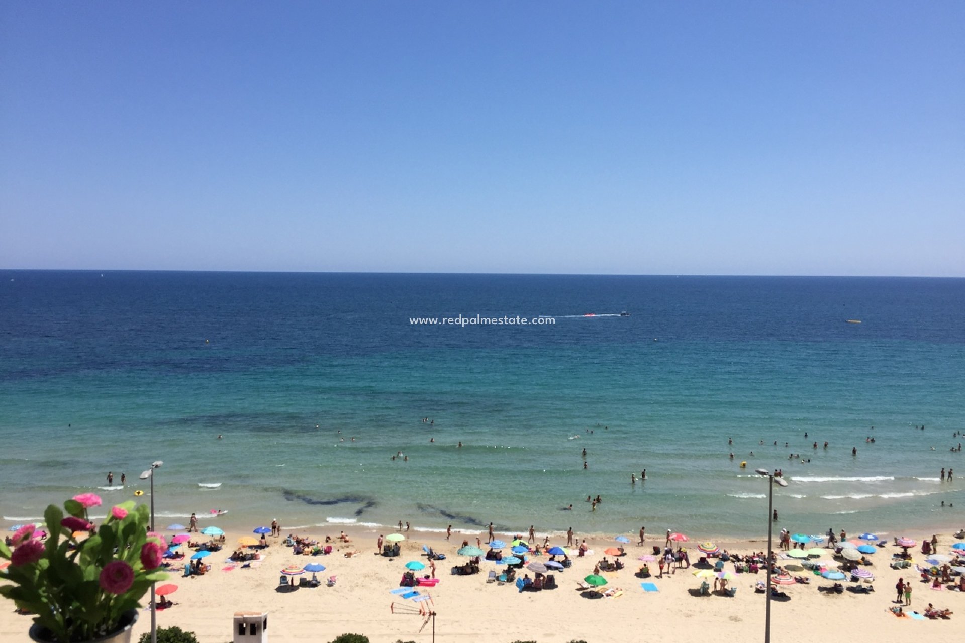 Reventa - Apartamento -
Torre de la Horadada - Mil Palmeras