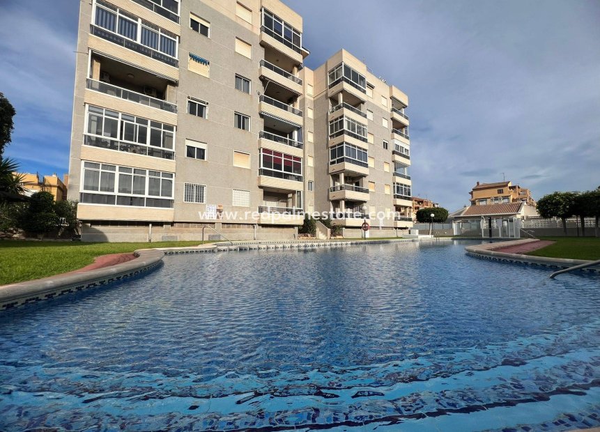Reventa - Apartamento -
Torrevieja - Aguas Nuevas