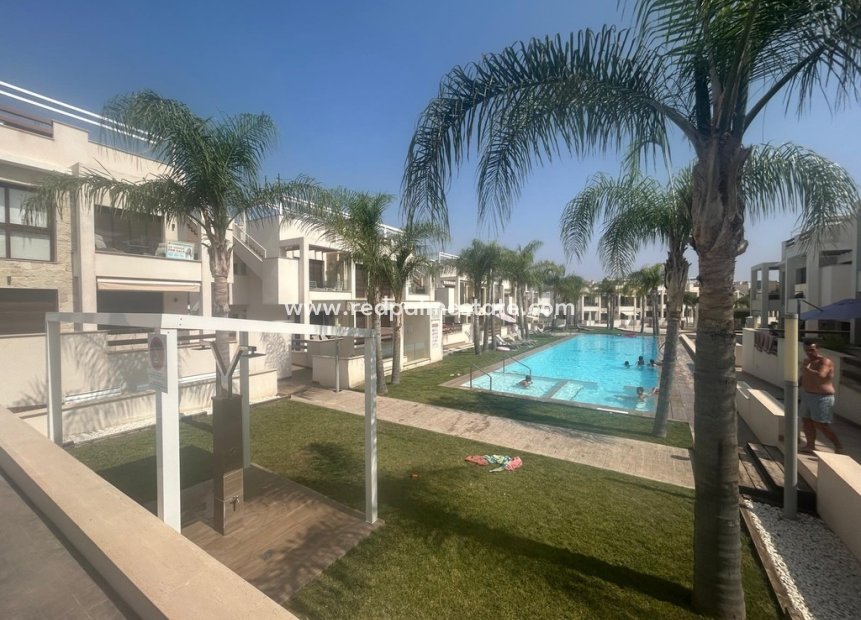 Reventa - Apartamento -
Torrevieja - AMAY Urbanisation