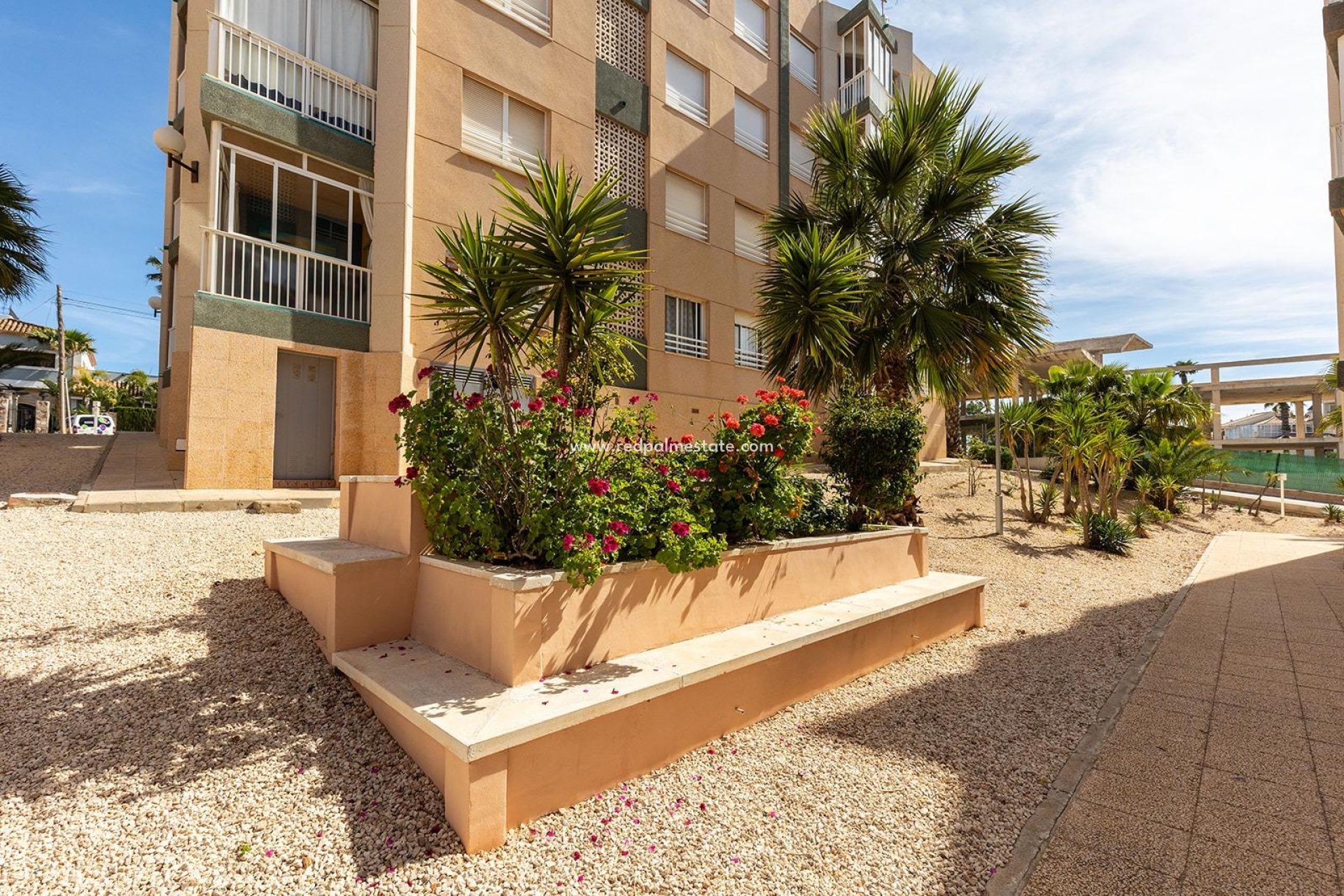 Reventa - Apartamento -
Torrevieja - Cabo cervera