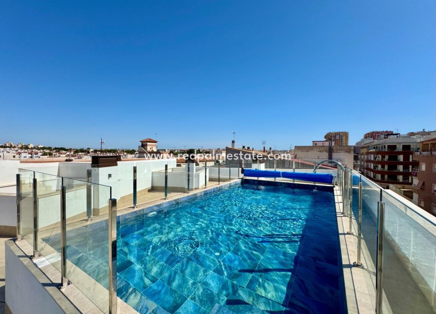 Reventa - Apartamento -
Torrevieja - Centro Torrevieja