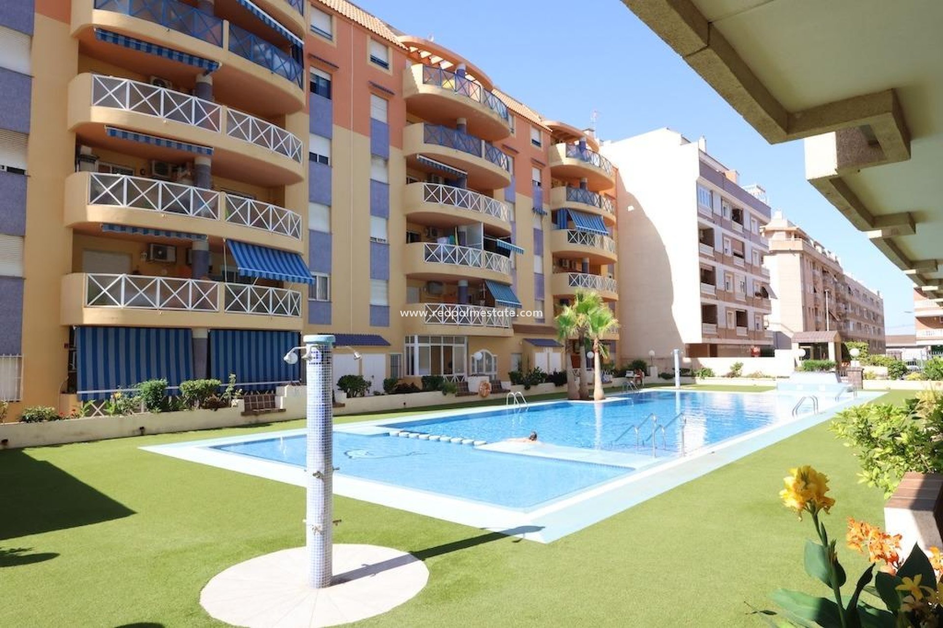 Reventa - Apartamento -
Torrevieja - Centro Torrevieja