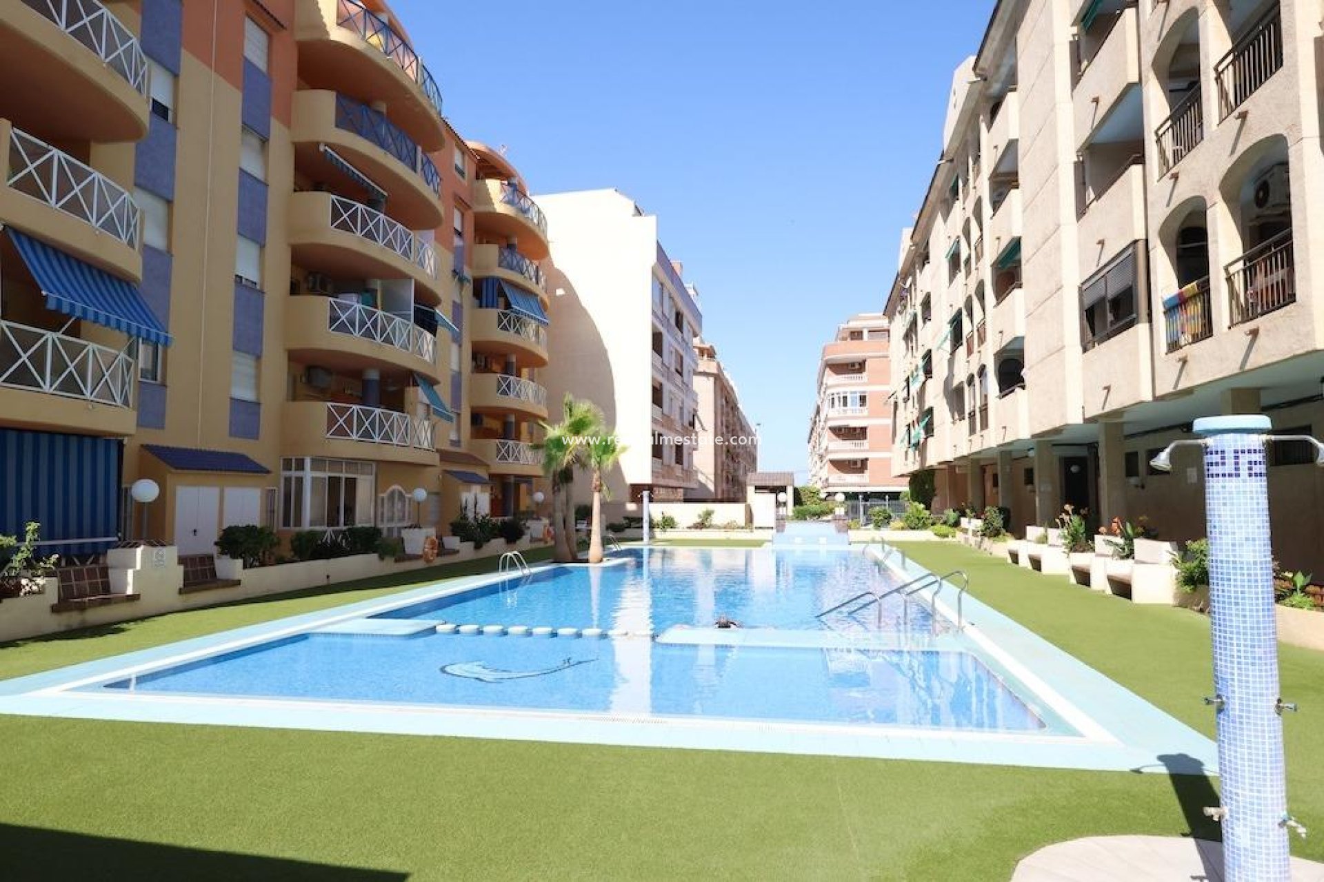 Reventa - Apartamento -
Torrevieja - Centro Torrevieja