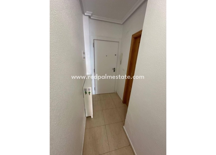 Reventa - Apartamento -
Torrevieja - Centro Torrevieja