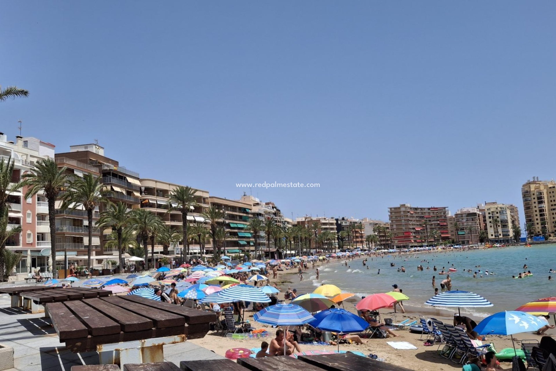Reventa - Apartamento -
Torrevieja - Centro Torrevieja