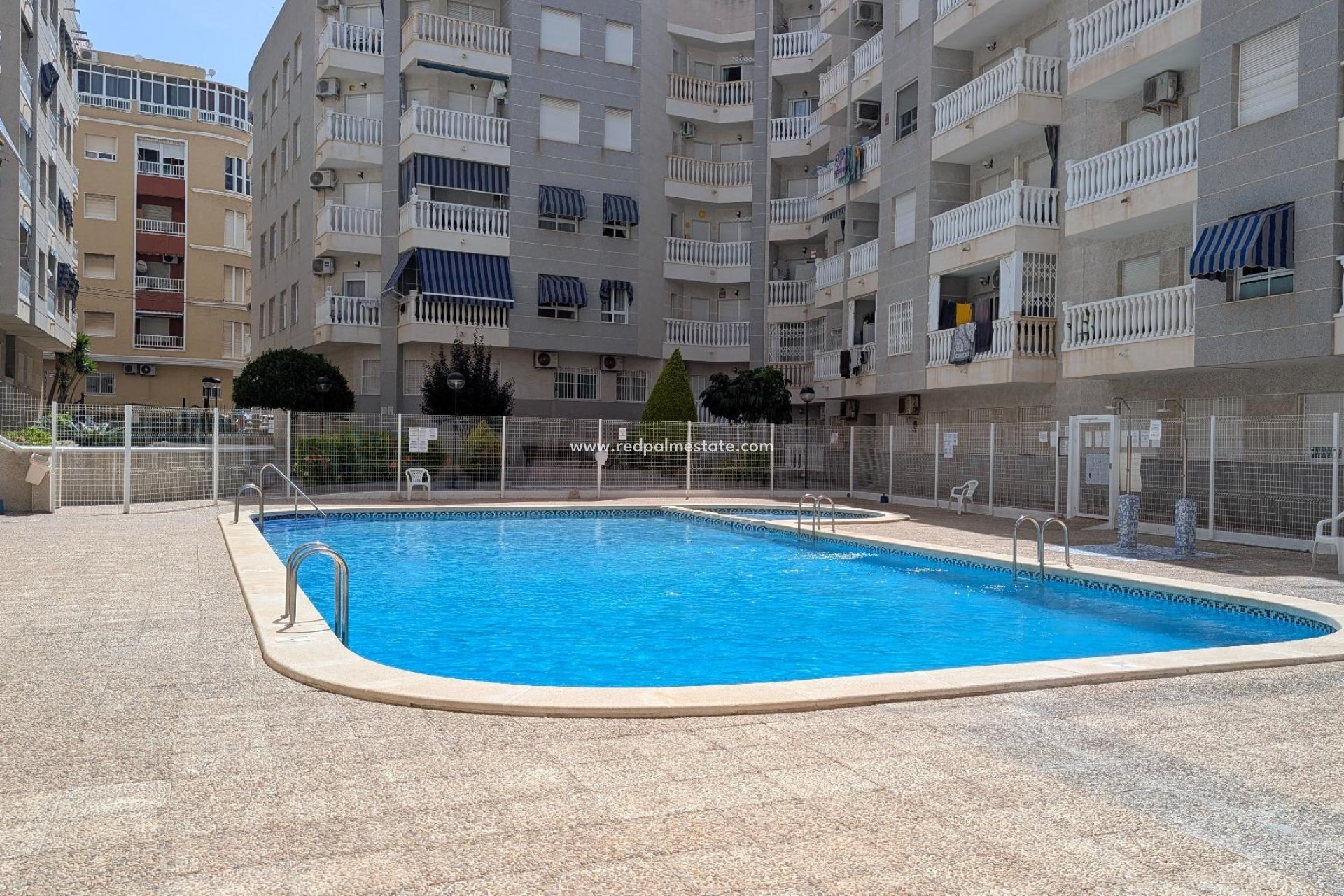 Reventa - Apartamento -
Torrevieja - Centro Torrevieja