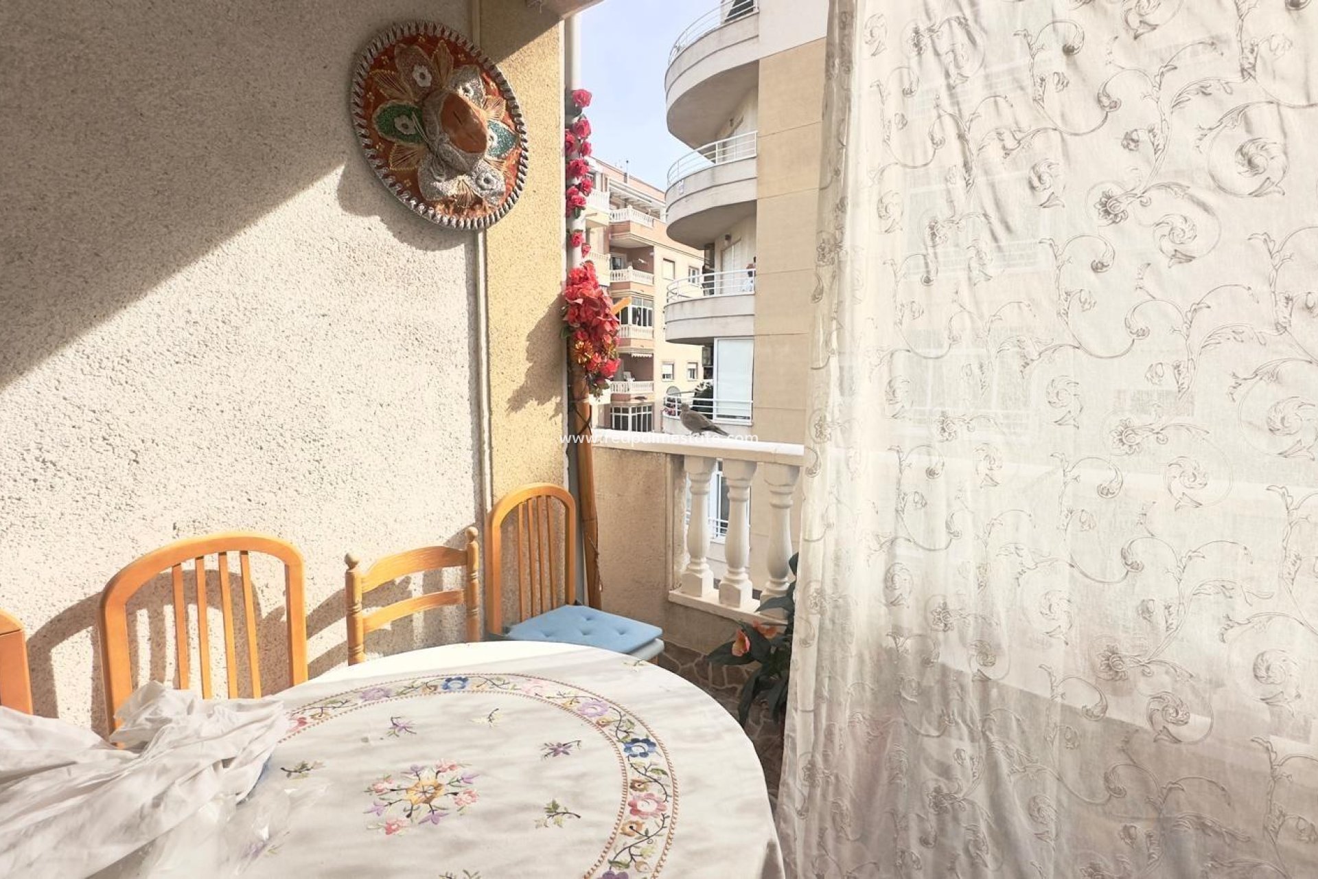 Reventa - Apartamento -
Torrevieja - Centro Torrevieja
