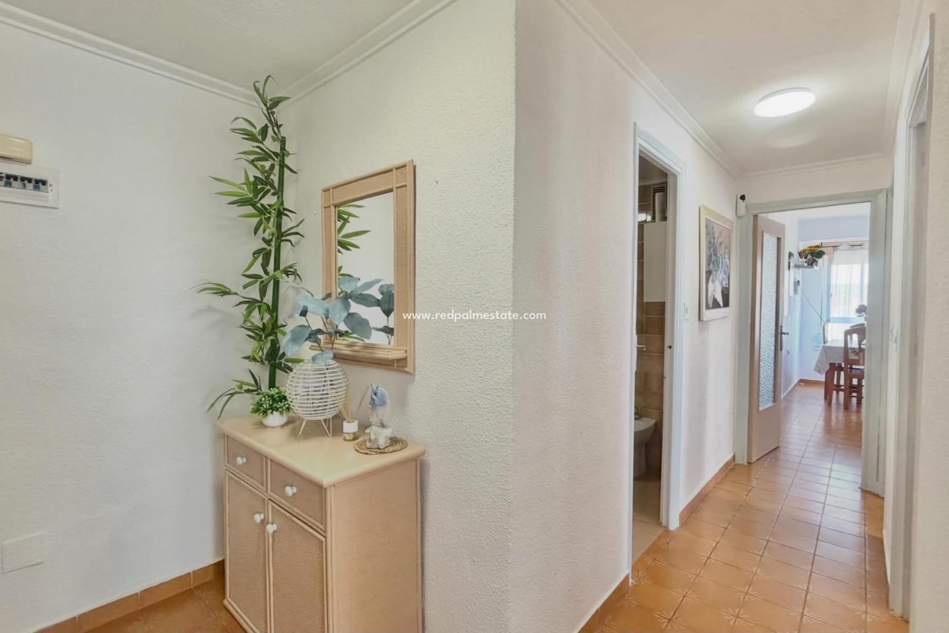 Reventa - Apartamento -
Torrevieja - Centro Torrevieja