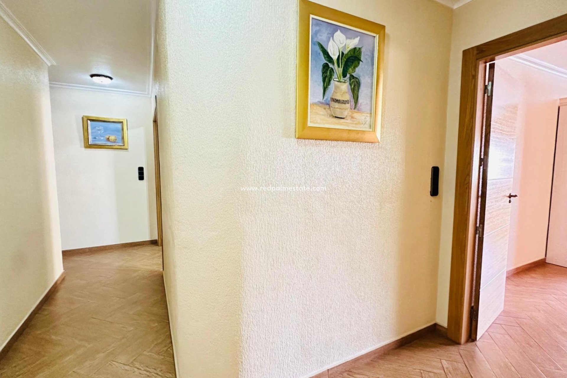 Reventa - Apartamento -
Torrevieja - Centro Torrevieja